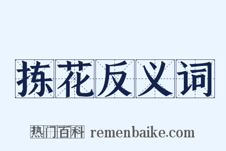 拣花反义词是什么意思的图片